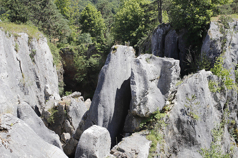 Fondry des Chiens(比利时南部瓦隆地区)